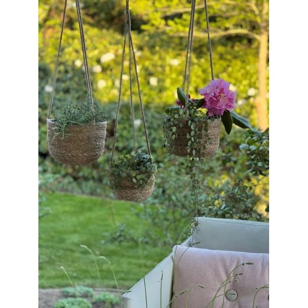 Urtepotteskjuler til ophng